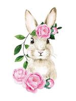 akvarellteckning. påskhare. söta porträtt av en hare, kanin med rosa rosblommor, pion på en vit bakgrund. dekoration för påsk, gratulationskort. vektor