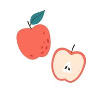 frischer Apfel mit halbem Apfel. Sommerfrucht. gesundes Essen vektor