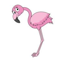 söt flamingo fågel tecknad grafik vektor