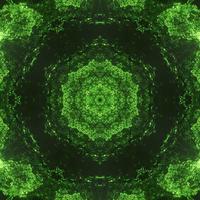 grüne Natur. organisches Kunstmuster. Vektorblätter auf schwarzem Hintergrund. Bio-Design. vektor