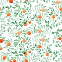 akvarell seamless mönster. abstrakt gröna blad och frukter av apelsin, mandarin på en vit bakgrund. vintage bakgrund i provence stil, botanisk prydnad. design för tyg, tapeter vektor