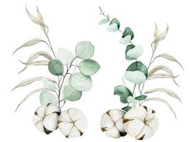 akvarellritningsuppsättning av eukalyptusblad, pil och bomullsblommor. massa löv och bomull isolerad på en vit bakgrund. ClipArt-element för grafisk design, dekoration av kort, bröllop. vektor