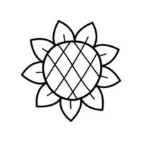Sonnenblume. botanisches element der hand gezeichneten skizze. isolierte Vektorillustration im Doodle-Linienstil. vektor