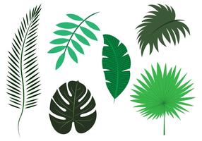 Vektor uppsättning av palm löv