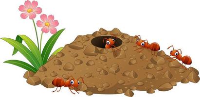 Cartoon-Ameisenkolonie und Ameisenhaufen vektor