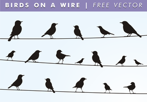 Vögel auf einem Wire Free Vector