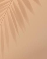 tropisk palmbladskugga på ljus pastellbrun bakgrund. vektor design