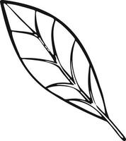 blad växt trädlinje ritning illustration symbol vektor