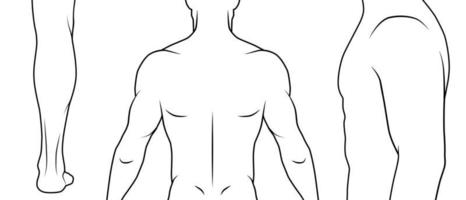 vektor disposition illustration manliga kroppen. delar av kroppen för tatuering exempel, sport, medicinska illustrationer. svartvitt.