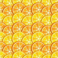 Hintergrund mit Zitrus-, Zitronen- und Orangenscheiben. früchte helle zusammensetzung. gut für Branding, Dekoration von Lebensmittelverpackungen, Coverdesign, dekorativer Druck, Hintergrund. vektor