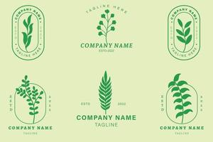 minimalistiska gröna blad blad tropiska logotyp samling stil grön pastell. vektor