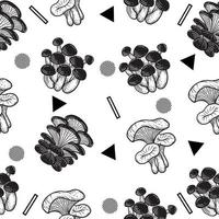 Schwarz-Weiß-Set Pilz gesunde Ernährung graviert handgezeichnete zufällige schwarze Objektumrissillustration weiß. vektor