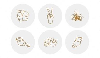 sommarmärken med urverkssnäckskal, blommor och händer i cirklar. vektor illustration. uppsättning ikoner och emblem för nyhetsomslag för sociala medier. designmallar för yogastudio, turism