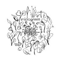 uppsättning av microgreens doodle illustration. vektor handritad skiss bakgrund