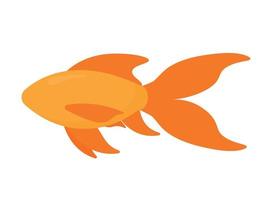 Cartoon Komet Goldfisch Symbol Cliparts isoliert auf weißem Hintergrund vektor