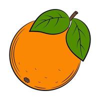 apelsin, grapefrukt, bergamott, citrus, frukt i linjär stil. färgglada vektor dekorativa element, ritade för hand.