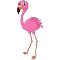 niedlicher flamingo-cartoon auf weißem hintergrund