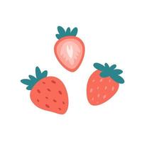 färsk jordgubbe med jordgubbshalva. sommarbär, odling, skörd. hälsosam och ekologisk mat vektor