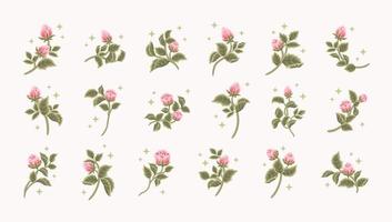 sammlung des femininen logos der romantischen rosenblütenknospe der weinlese, des schönheitsetiketts, der markenelemente vektor
