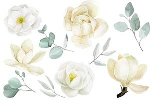 Aquarellzeichnung. Set mit weißen Blüten und Blättern. zarte illustration mit magnolien- und rosenblüten, eukalyptusblättern. vektor
