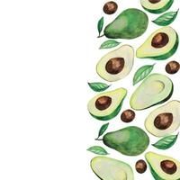 Rahmenmuster aus Avocado. Aquarellzeichnung Avocado-Konzept für gesunde Ernährung, Naturprodukte, vegetarische Bio-Lebensmittel. sommerkarte isoliert auf weiß vektor