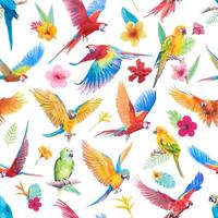 vacker fågel papegoja ara och paradis blomma blad handmålade akvarell sömlösa mönster vektor