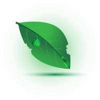 grönt blad med vattendroppe, eps10 vektor