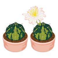 Illustration eines Kaktus. dekorativer Vektor. vektor