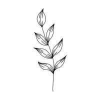 handgezeichneter Stiel mit Blättern, Zweigen und Gras im Doodle-Stil. Baum-Kunst-Design. isolierte schwarze auf weißen elemente für design vektor
