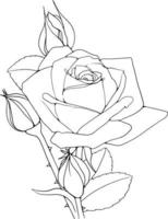 rose line art floral line art rose flower line art vektorillustration für einladungen, karten usw. vektor