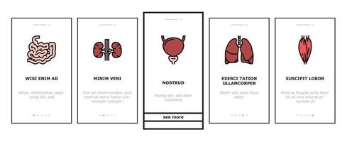 Onboarding-Symbole für die Anatomie des menschlichen inneren Organs setzen Vektor