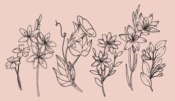 Blumenzweig und minimalistische Wildblumen für Logo oder Tattoo. handgezeichnetes hochzeitsgras, elegante blätter für die einladung, save the date-karte. botanisches rustikales trendiges grün vektor