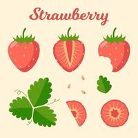 Reihe von reifen Erdbeeren und Blättern. geschnittene Erdbeerscheiben. flache vektorillustration. vektor