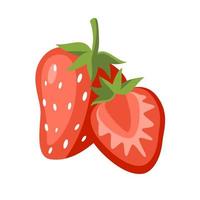 handritad jordgubbe hela och skiva isolerad på vit bakgrund röda bär halv vektorillustration vektor