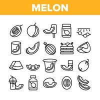 melon organisk frukt samling ikoner set vektor