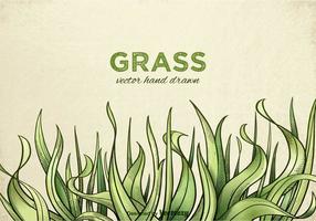 Freie Hand gezeichnet Gras Vektor