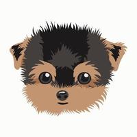 vektor illustration av en yorkshire terrier hund. hunden är isolerad på en vit bakgrund.