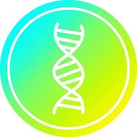 DNA-Kette kreisförmig im kalten Gradientenspektrum vektor