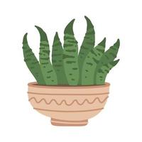 söta kaktusar och suckulenta i kruka på vit bakgrund. vektor illustration.