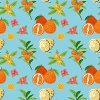 Muster mit Orangen, Früchten und Blumen. hell nahtlos für Küchendesign vektor