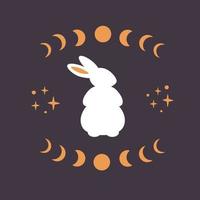 süßes weißes Kaninchen mit astrologischen, esoterischen Elementen. Mondphasen, Sterne, Magie. Jahr des Kaninchens vektor