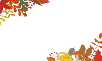 Herbstlaub Eckrahmen mit Beeren. Urlaubseinladungskartenvorlage. isoliert auf weißem Hintergrund. rustikale Herbstillustration für Feiertagskarten. vektor