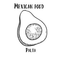 mexikanisches Essen Avocado. handgezeichnete schwarz-weiße Vektorgrafik im Doodle-Stil. vektor