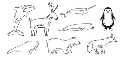uppsättning arktiska djur. doodle stil. vektor illustration. söt narval, ren, isbjörn, säl och valross.