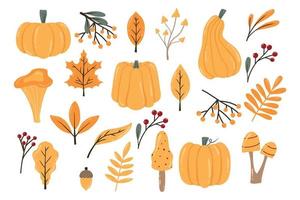 höst set. höstens pumpor, löv, bär och svamp. ritad stil. samling av höstväxter. vektor illustration.