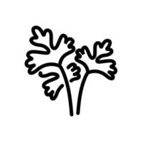 koriander planta löv ikon vektor kontur illustration
