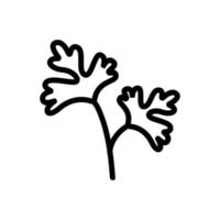 Blätter der Kräuterkoriander-Symbolvektor-Umrissillustration vektor