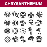 Chrysanthemenblumensammlungsikonen stellten Vektor ein