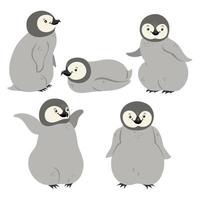 Satz von Pinguinen isoliert auf weißem Hintergrund. Vektorgrafiken. vektor