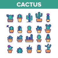kaktus inhemska växt färg ikoner set vektor